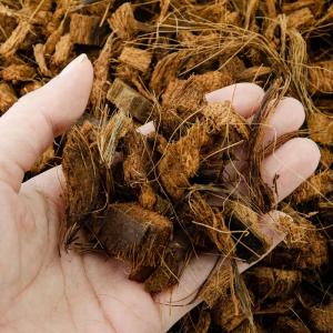 リクガメの基本飼育セット お一人様1点限り 2個口の詳細画像4