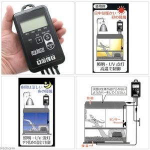 リクガメの基本飼育セット お一人様1点限り 2個口の詳細画像5