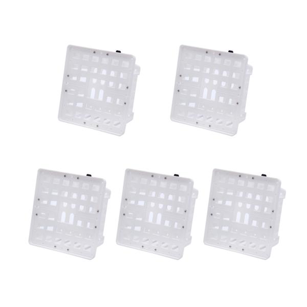 コウモリランバスケット　ホワイト　ＬＬサイズ　ハンギング　コウモリラン　ビカクシダ　５個入り