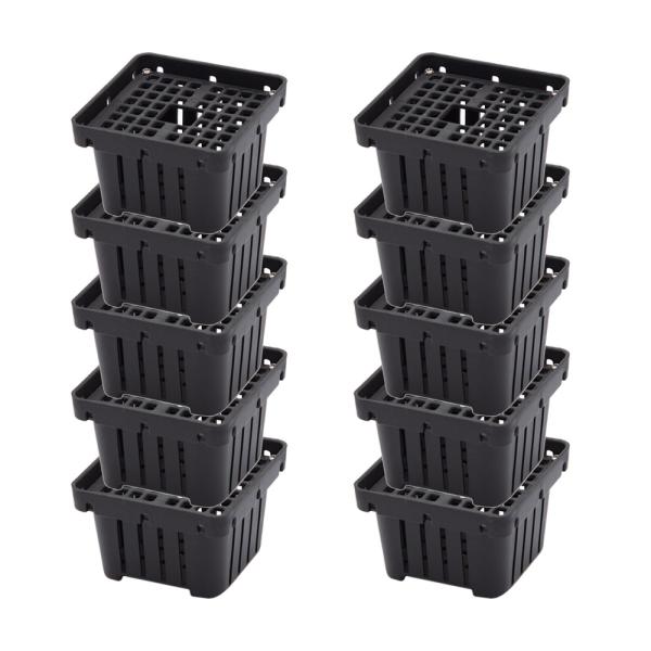 コウモリランバスケット　ブラック　Ｓサイズ　ハンギング　コウモリラン　ビカクシダ　１０個入り