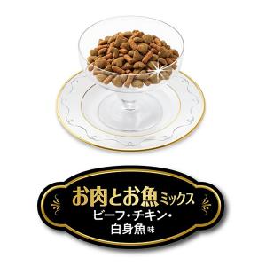 キャットフード ペットライン キャネットチップ...の詳細画像1