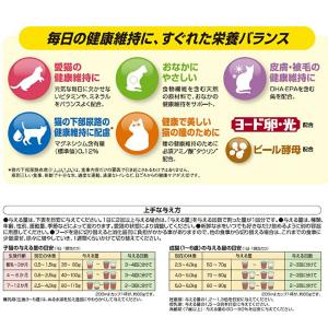 キャットフード ペットライン キャネットチップ...の詳細画像3