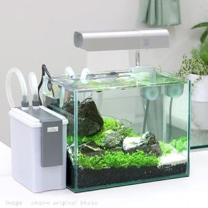 チャーム Charm ヤフー店 水草 魚なし 生体 水草付きセット Yahoo ショッピング