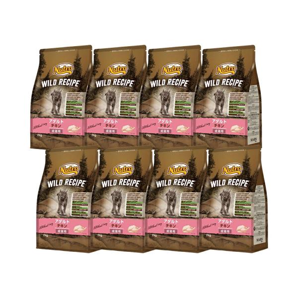 ニュートロ　猫　キャット　ワイルド　レシピ　アダルト　チキン　成猫用　２ｋｇ×８袋　お一人様１点限り