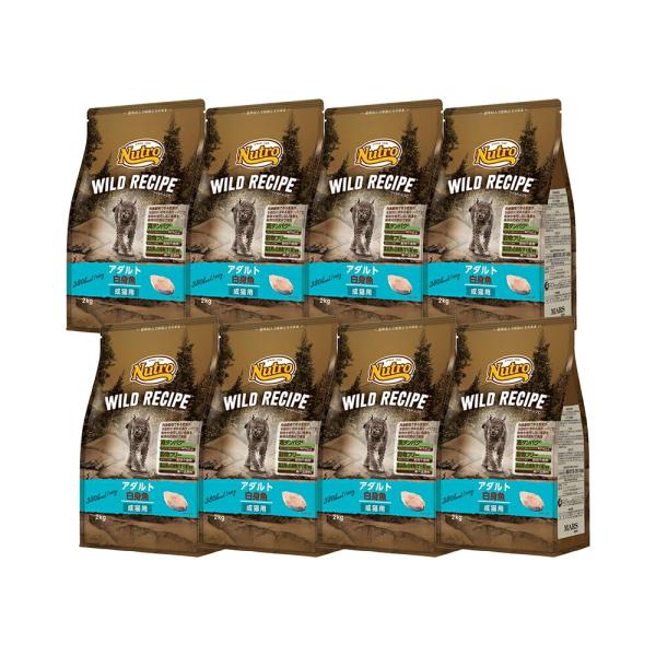 ニュートロ　猫　キャット　ワイルド　レシピ　アダルト　白身魚　成猫用　２ｋｇ×８袋　お一人様１点限り