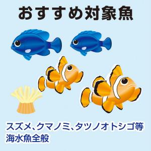 冷凍★キョーリン ビタクリン ホワイトシュリン...の詳細画像4