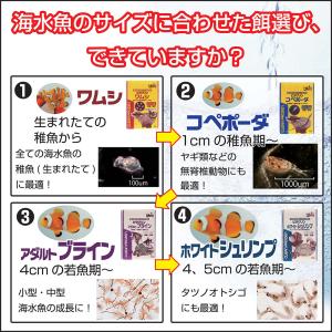 冷凍★キョーリン ビタクリン ホワイトシュリン...の詳細画像5