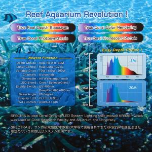 SPECTRA SP200(スペクトラ) ブラックの詳細画像2