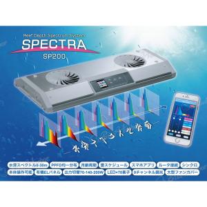 SPECTRA SP200(スペクトラ) シルバーの詳細画像3