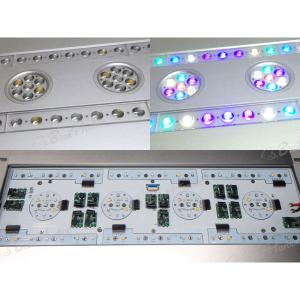 SPECTRA SP200(スペクトラ) シルバーの詳細画像5