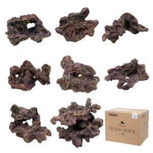 2025年8月】ライブロックのおすすめ人気ランキング - Yahoo