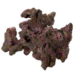 2026年3月】ライブロックのおすすめ人気ランキング - Yahoo!ショッピング