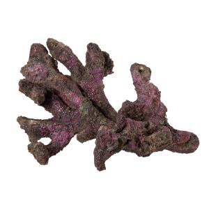 レッドシー ATS ミニライブロックレプリカ（G47） 約25cm : G3 AQUA