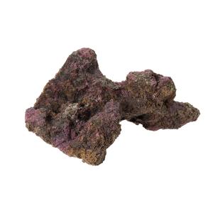 レッドシー ATS ミニライブロックレプリカ（G47） 約25cm : G3 AQUA