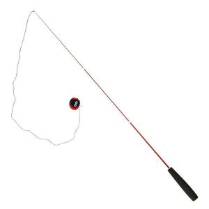 iCat FLYING CAT 釣りざお猫じゃらし てんとう虫ボール 猫 おもちゃ