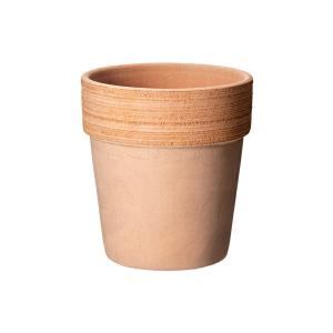 イタリア デグレア アルト 15cm テラコッタ