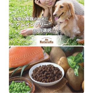 ナチュラハ グレインフリー サーモン&野菜入り...の詳細画像2