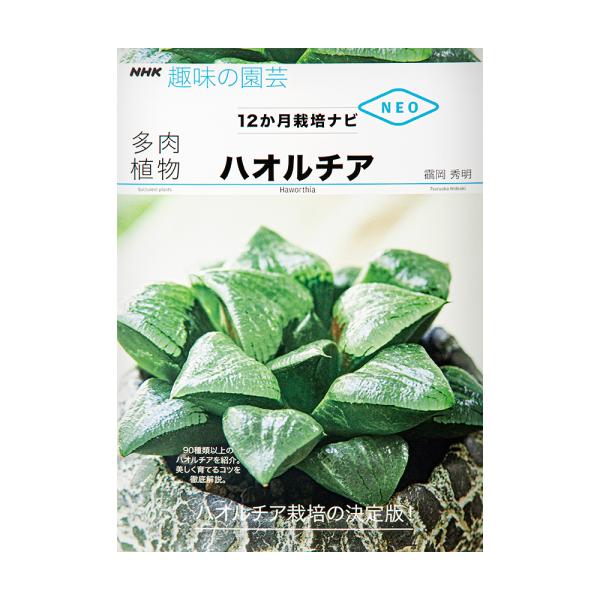 ＮＨＫ趣味の園芸　１２か月栽培ナビＮＥＯ　多肉植物　ハオルチア