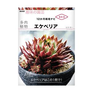 ＮＨＫ趣味の園芸　１２か月栽培ナビＮＥＯ　多肉植物　エケベリア