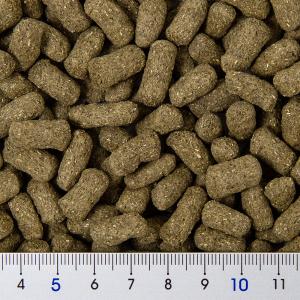 キョーリン マルベリックドライ 大粒 550g...の詳細画像1