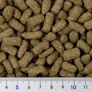 キョーリン マルベリックドライ 大粒 1kg ...の詳細画像1