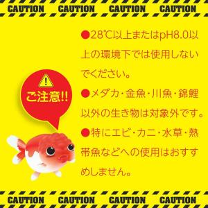 動物用医薬品 キョーリン 魚病薬 観賞魚用 ム...の詳細画像3