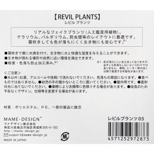 レビルクイーン レビルフェイクプランツ ベゴニアの詳細画像2