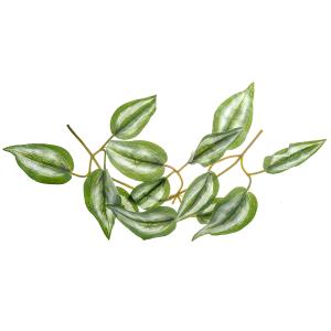 レビルクイーン レビルフェイクプランツ リーフ...の詳細画像3