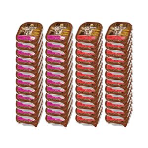 アウトレット品　ニュートロ　ワイルド　レシピ　成犬用　トレイ　１００ｇ×２種各２４個　沖縄別途送料