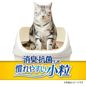 デオトイレ 砂 消臭・抗菌サンド 小粒タイプ ...の詳細画像1