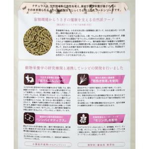 三晃商会 ラビットナチュラス オールステージ ...の詳細画像2