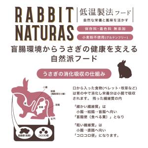 三晃商会 ラビットナチュラス オールステージ ...の詳細画像4