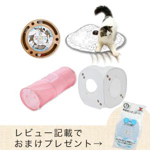 猫用 おもちゃ 猫壱 キャット電動トイセット クリア : チャーム charm