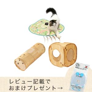 【レビュー記載でおまけスポンジ１個同梱】猫壱　おもちゃ満足セット　木目｜チャーム charm ヤフー店