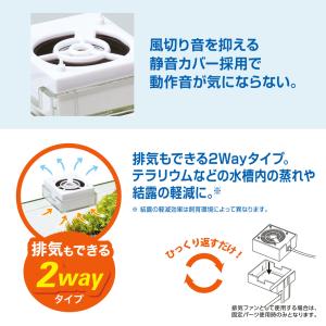 GEX アクアレイクール レギュラー 25〜6...の詳細画像5