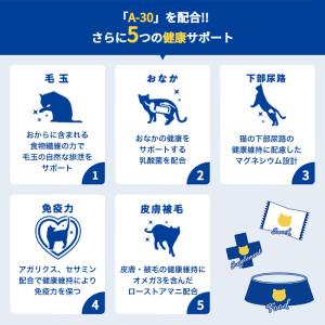 キャットフード AIM30 カリッとトリーツ ...の詳細画像3