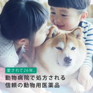 動物用医薬品 フロントライン・スプレー 犬猫用...の詳細画像1