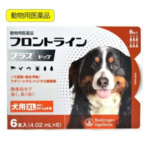 動物用医薬品　フロントラインプラス　ドッグ　ＸＬ　６本　動物用医薬品｜chanet