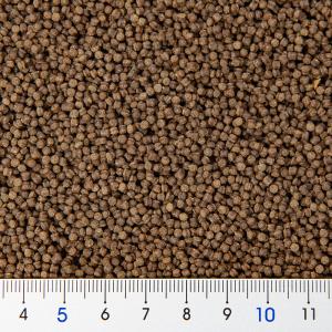 アウトレット品 日本動物薬品 ニチドウ 金魚膳...の詳細画像1