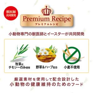 イースター プレミアムレシピ ラビット 歯&泌...の詳細画像3