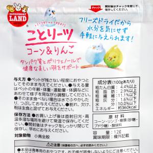 マルカン ことりーツ コーン&りんご 12gの詳細画像2