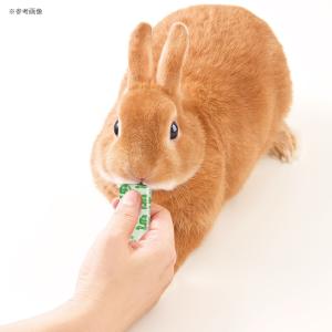 マルカン 快腸ぐらし うさぎのぴゅーれ チモシ...の詳細画像5