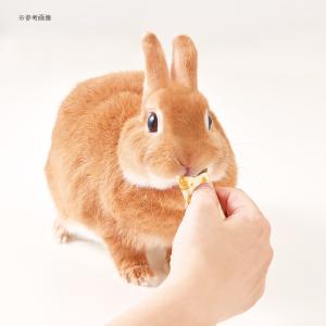 マルカン 快腸ぐらし うさぎのぴゅーれ チモシ...の詳細画像5