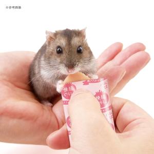 マルカン 快腸ぐらし ハムスターのぴゅーれ 鶏...の詳細画像5