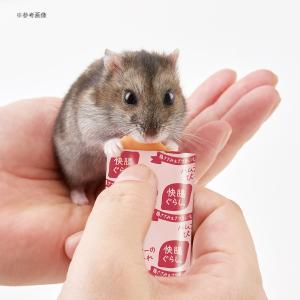 マルカン 快腸ぐらし ハムスターのぴゅーれ 鶏...の詳細画像5