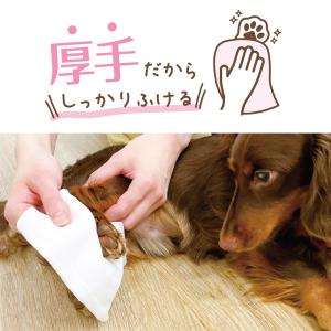 ペット専用ウェットティッシュ 25枚の詳細画像2
