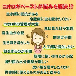 日本動物薬品 ニチドウ コオロギペースト 6g...の詳細画像5