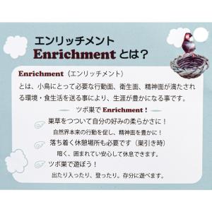巣箱 川井 小鳥のツボ巣(直径120×135)の詳細画像4