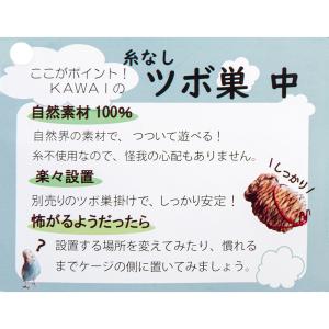 巣箱 川井 小鳥のツボ巣(直径120×135)の詳細画像5