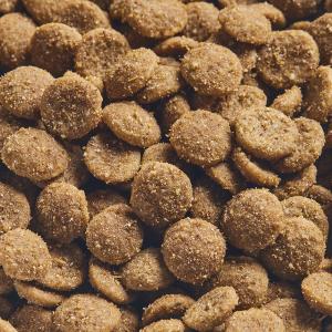 ニュートロ 猫 シュプレモ 成猫用 チキン&サ...の詳細画像4